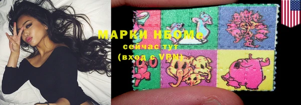 индика Алексин