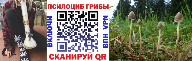 Галлюциногенные грибы мицелий  MEGA как войти  Плавск 